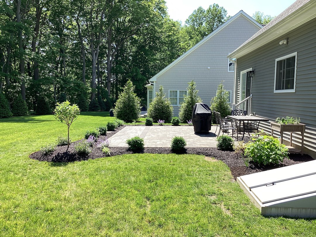 Backyard Patio Planting in Trumbull, CT
